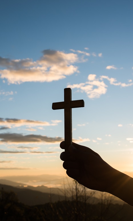 Macarrones ricos de Tamara